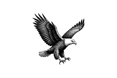 African fish eagle in the Ndutu area during a photographic safari in Tanzania