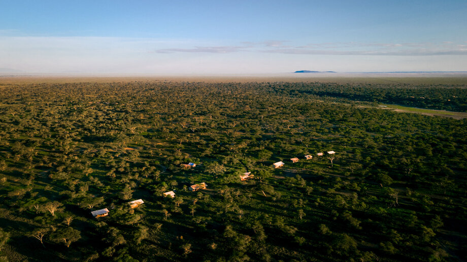 Gnu Migration Camp in the Ndutu region of the Southern Serengeti ecosystem