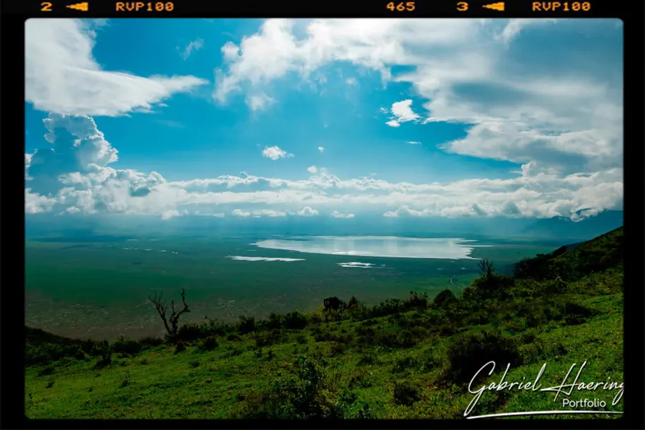 Ngorongoro crater view during the january calving season great migration photographic safari.