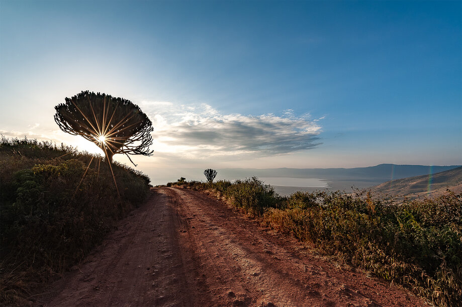 Early morning entering Ngorongoro crater during a photographic safari in Tanzania
