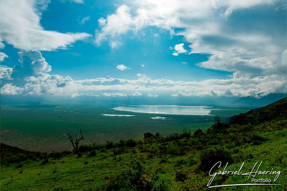 Green-season landscape in Ngorongoro Crater during a Northern Tanzania photographic safari