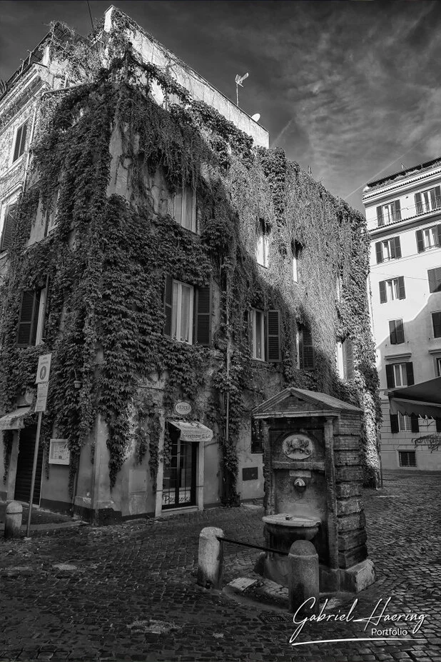 Black and white ivy-covered building and fountain in Rome