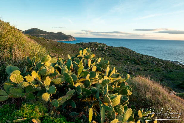 Winter on the beach in southern Sardinia calm and relaxing with no crowd