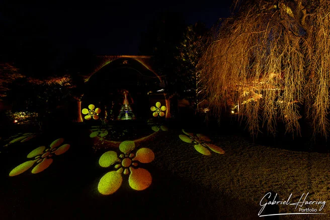 Autumn garden of Kōdai-ji lit at night with maple reflections