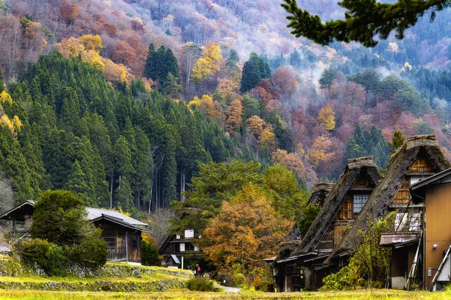 Panorama of Shirakawa-Go village and valley forest in autumn foliage