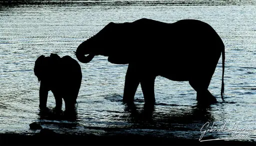 Photographic Safari Mkomazi National Park