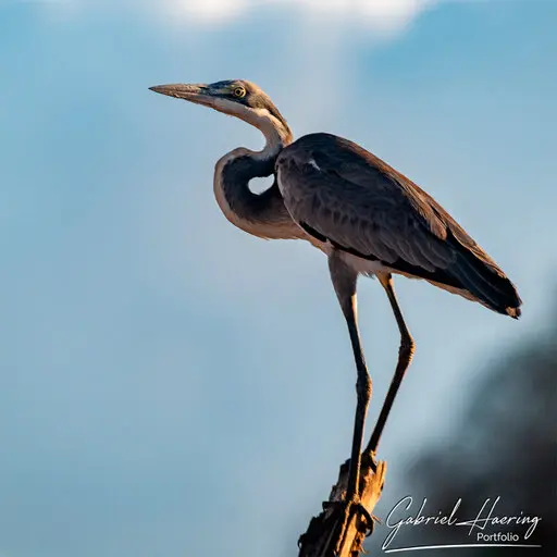 Photographic Safari Mkomazi National Park