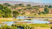 Beautiful lanscape can be observed in Ruaha National Park during a private photographic safari