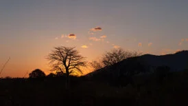 Wide panoramic view of Ruaha National Park showing remote wilderness, dry-season vegetation and open safari landscapes