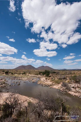 Wide panoramic view of Ruaha National Park showing remote wilderness, dry-season vegetation and open safari landscapes