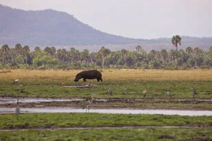 Beautiful lanscape can be observed in Katavi National Park during a private photographic safari