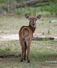 Beautiful lanscape can be observed in Katavi National Park during a private photographic safari
