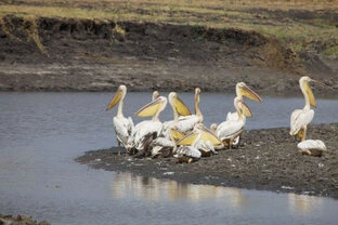 Beautiful lanscape can be observed in Katavi National Park during a private photographic safari
