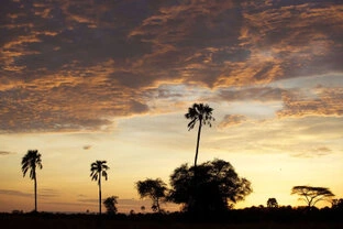 Beautiful lanscape can be observed in Katavi National Park during a private photographic safari