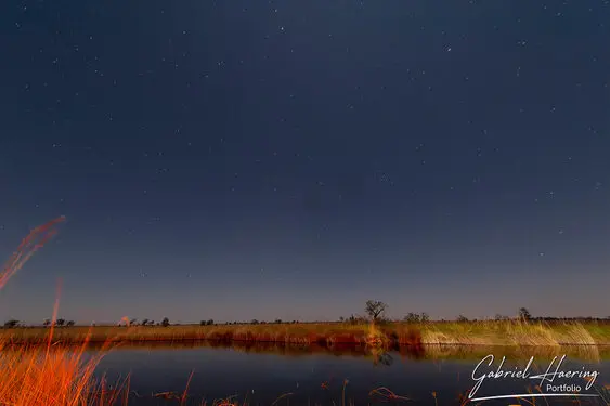 Photographic portfolio of Okavango Delta Botswana