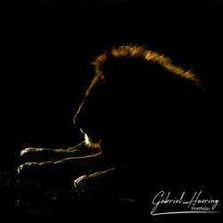 Lion portrait Serengeti Ndutu National Park, Tanzania, photographed during a guided photographic safari.