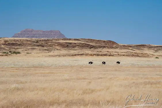 Photographic portfolio of Damaraland landscapes