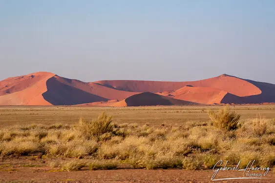 Photo of Namib Naukluft deadvlei and sossusvlei