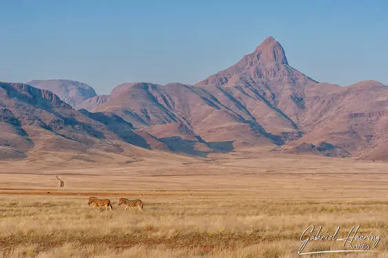 Photo of Namib Naukluft deadvlei and sossusvlei