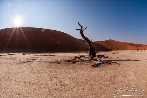 Photo of Namib Naukluft deadvlei and sossusvlei