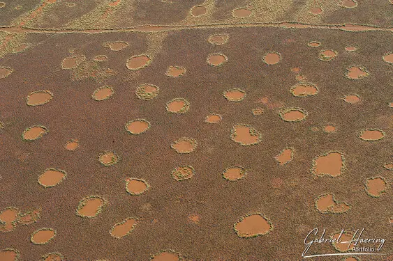 Photo of Namib Naukluft deadvlei and sossusvlei