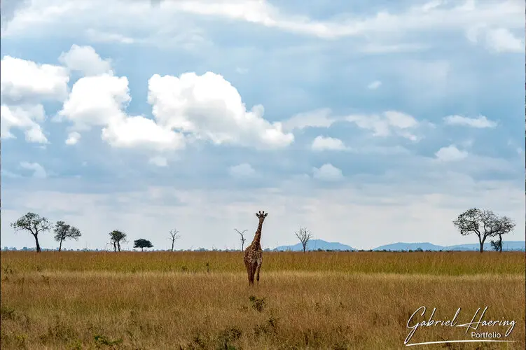 Landscape photography of Mikumi NP in Tanzania