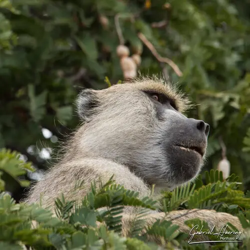 Landscape photography of Mikumi NP in Tanzania