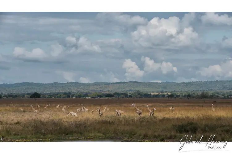 Landscape photography of Mikumi NP in Tanzania