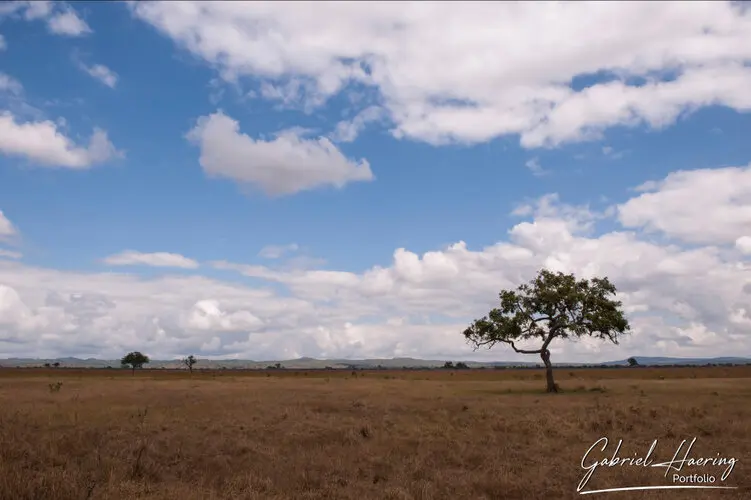 Landscape photography of Mikumi NP in Tanzania