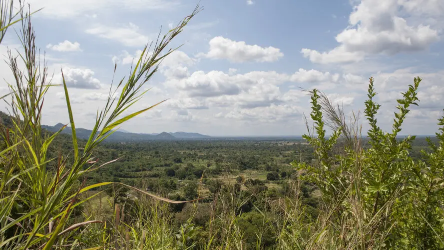 Selous Tanzania Landscape photography