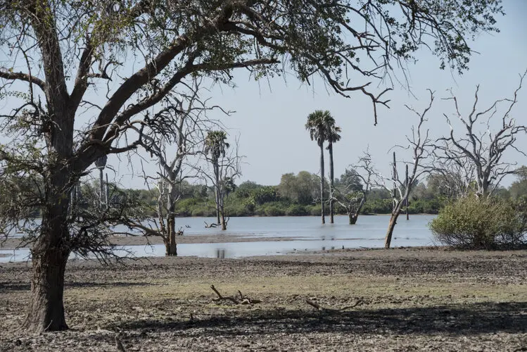 Selous Tanzania Landscape photography