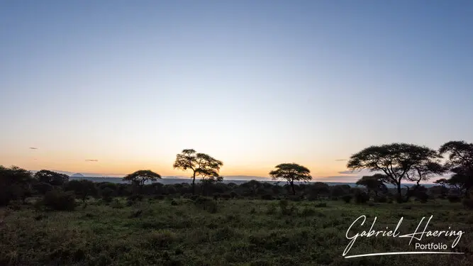 Fine art photographs of Tarangire National Park