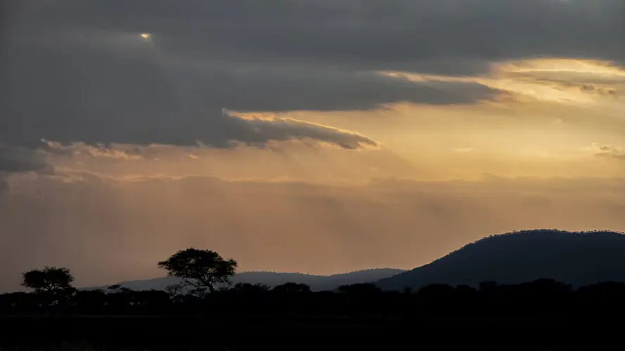 Photography of Serengeti National Park