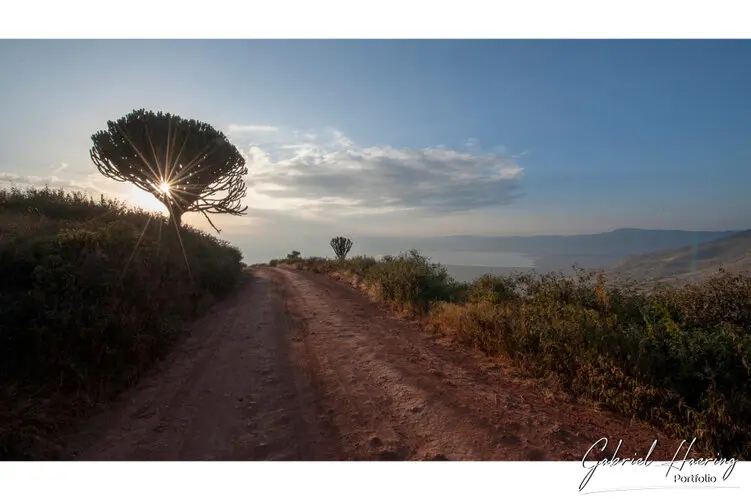 Photography of Ngorongoro Crater