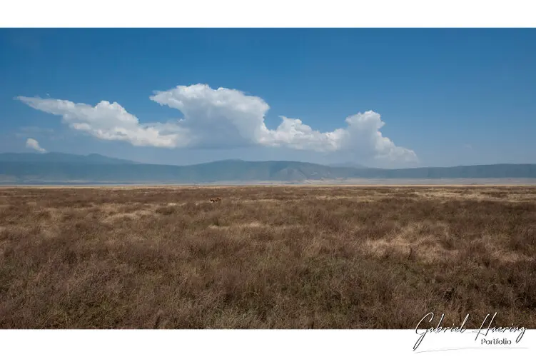 Photography of Ngorongoro Crater