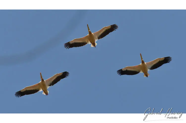 Photography of Ngorongoro Crater