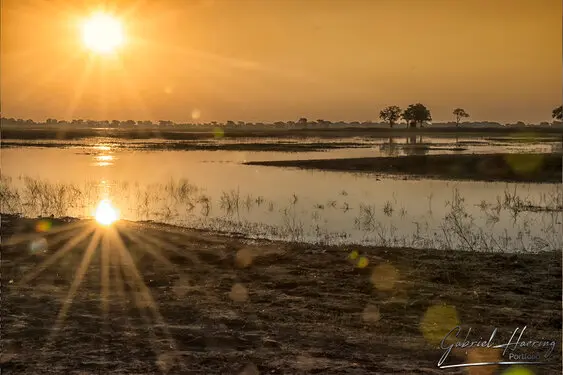 Photography collection of Chobe National Park