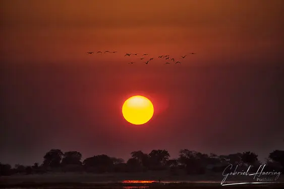 Photography collection of Chobe National Park