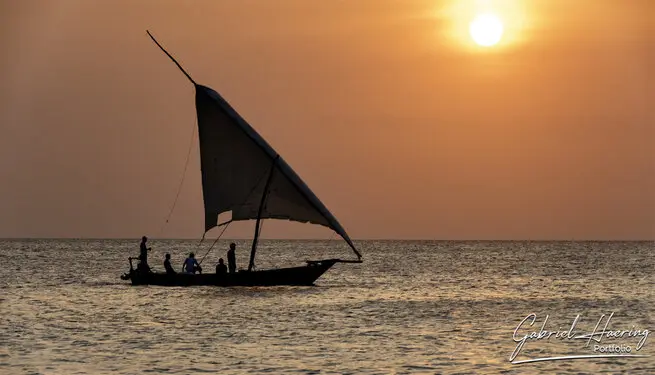 Traditional dhows sailing the waters of Zanzibar