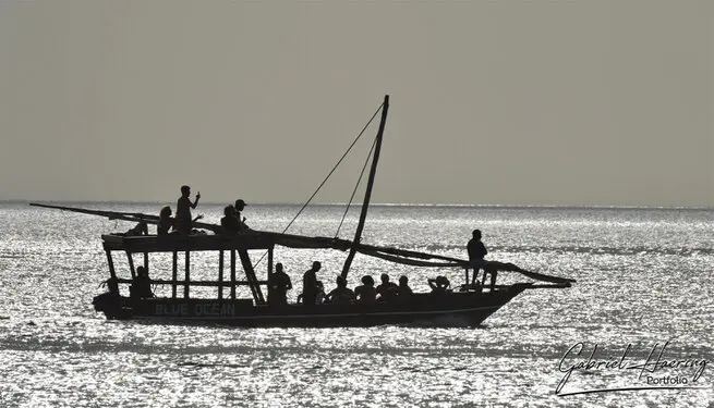 Traditional dhows sailing the waters of Zanzibar