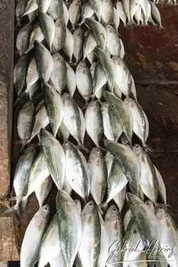 Busy Zanzibar market with vendors selling fresh fish and aromatic spices in a colorful setting.