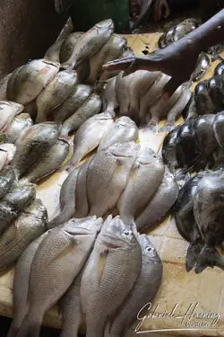 Busy Zanzibar market with vendors selling fresh fish and aromatic spices in a colorful setting.