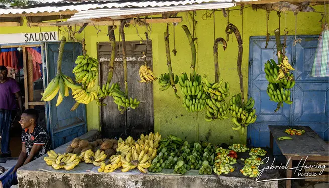 Busy Zanzibar market with vendors selling fresh fish and aromatic spices in a colorful setting.