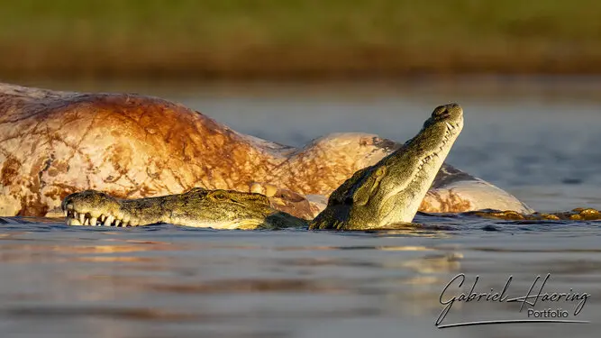 Photography of Lake Kariba in Zimbabwe by Gabriel Haering