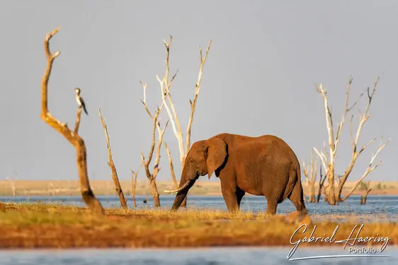 Photography of Lake Kariba in Zimbabwe by Gabriel Haering