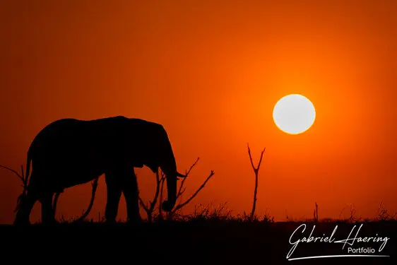 Photography of Lake Kariba in Zimbabwe by Gabriel Haering