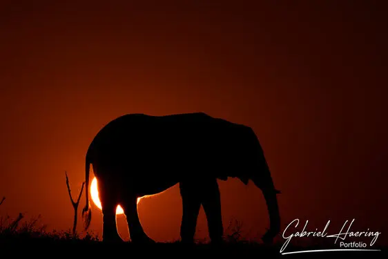 Photography of Lake Kariba in Zimbabwe by Gabriel Haering