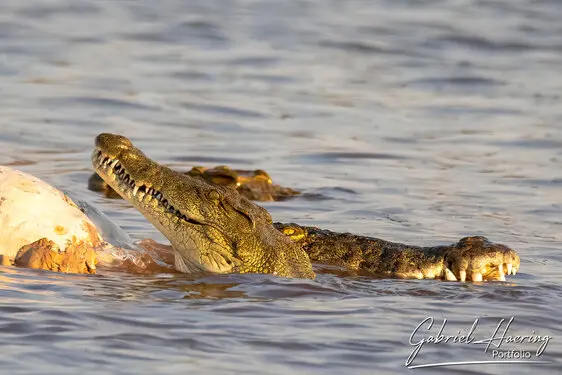 Photography of Lake Kariba in Zimbabwe by Gabriel Haering