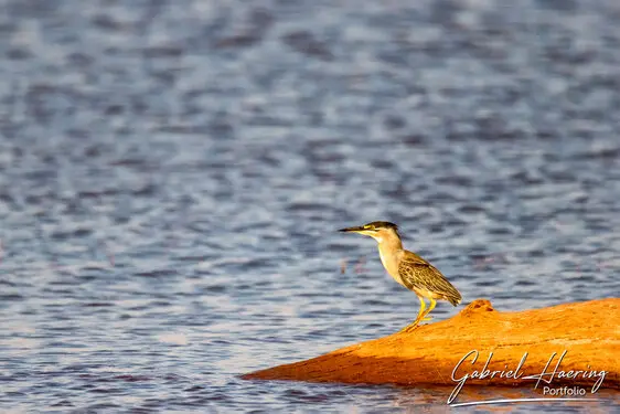 Photography of Lake Kariba in Zimbabwe by Gabriel Haering