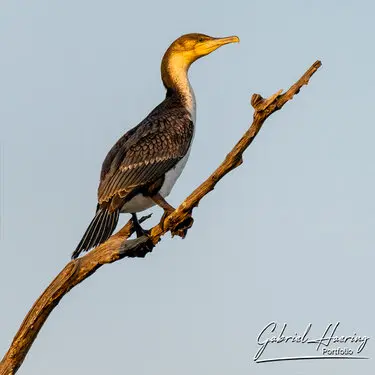 Photography of Lake Kariba in Zimbabwe by Gabriel Haering